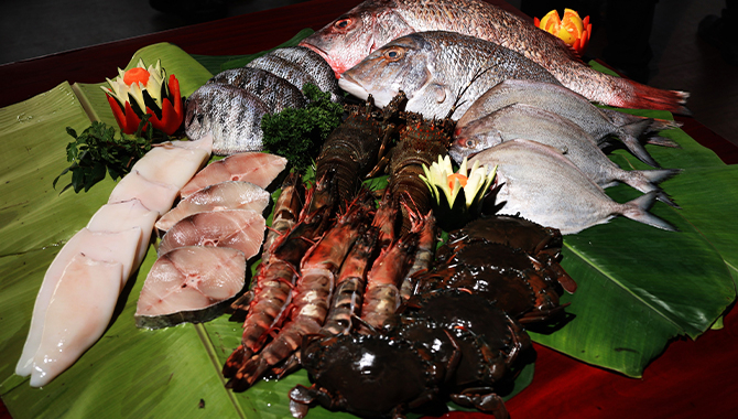 Fresh Catch Dining Experience