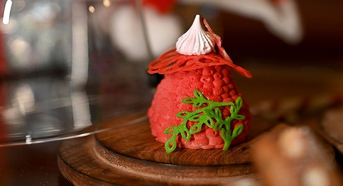 Terms and Conditions