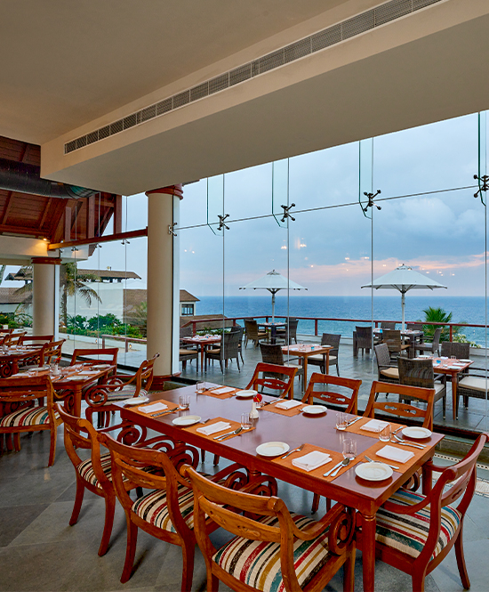 The Terrace