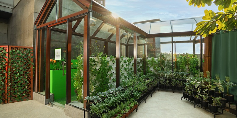 The Green House