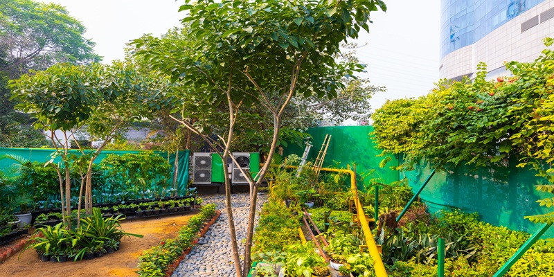The Leela Plant Nursery