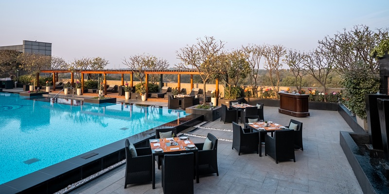 The Forest View Deck