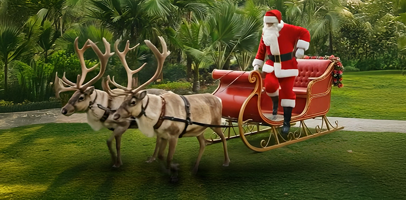 𝐒𝐚𝐧𝐭𝐚'𝐬 𝐅𝐚𝐯𝐨𝐮𝐫𝐢𝐭𝐞 𝐓𝐚𝐛𝐥𝐞 𝐢𝐬 𝐁𝐚𝐜𝐤