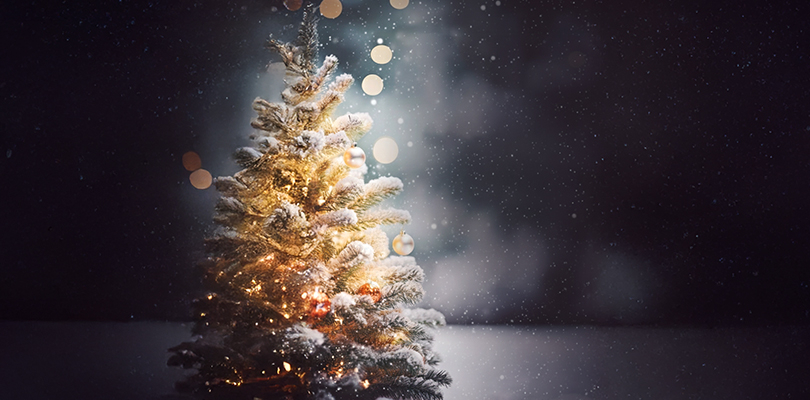 A Moment to Light Up the Season