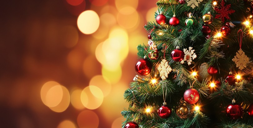 New Year Celebration