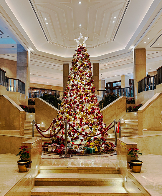 Festive Season Celebrations 