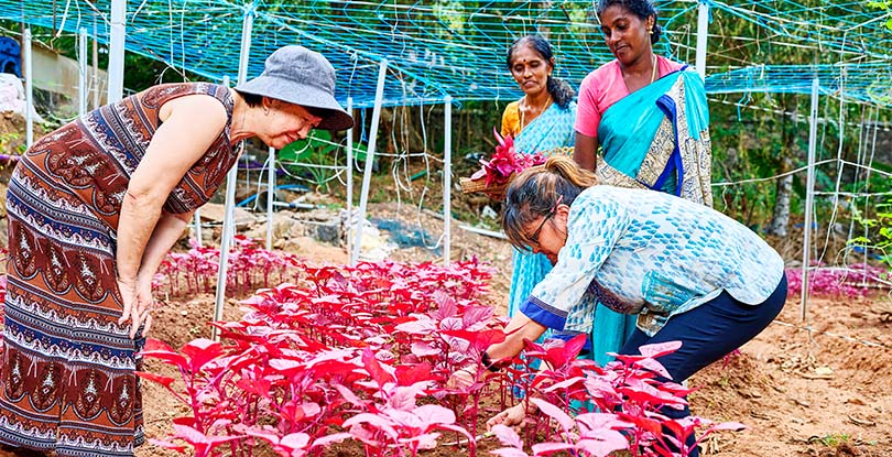 Personalized Culinary Creations