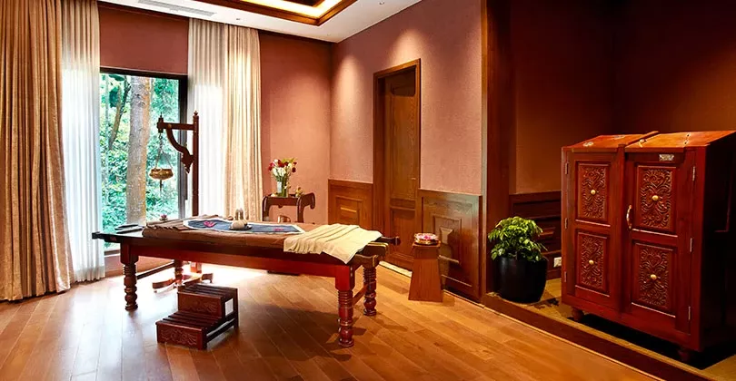 The Ayurveda Experience