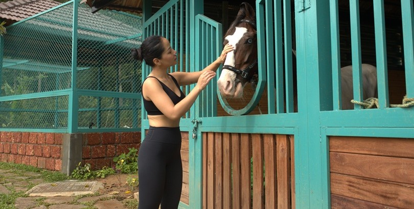 Horse Riding