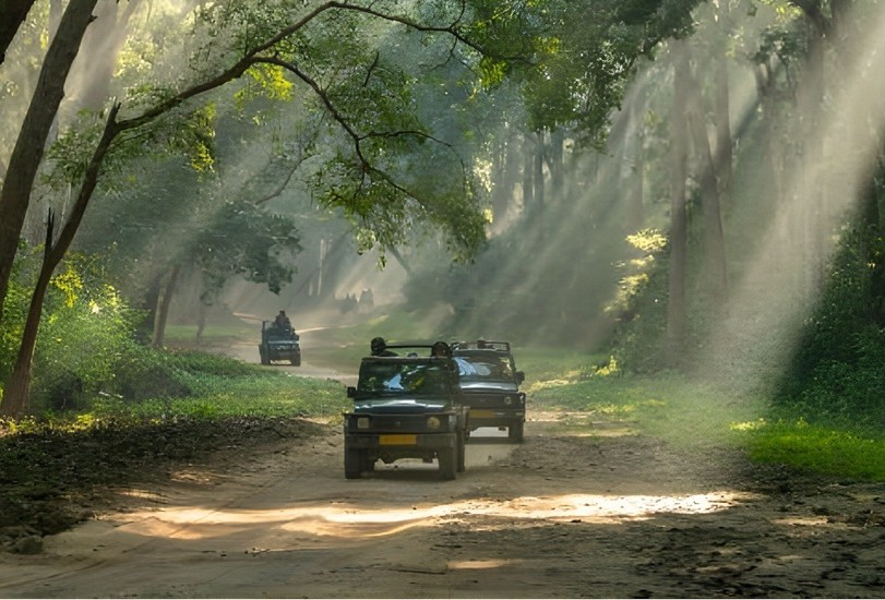 Jhalana Leopard Safari