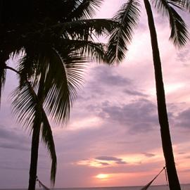 5 offbeat things to do in Goa